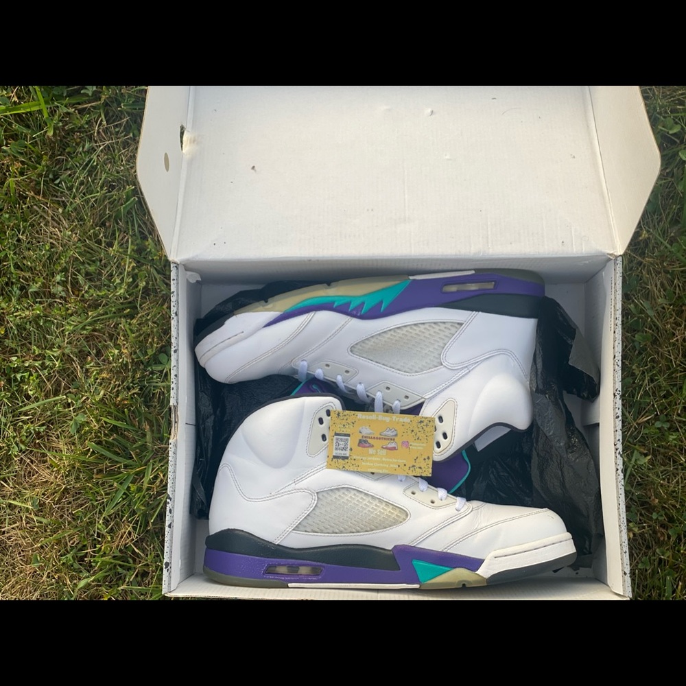 Jordan 5 Retro Grape (2013)